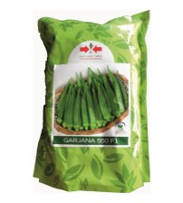 Okra / Lady finger Garjana 550